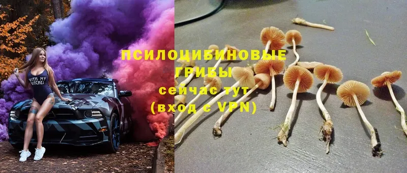 Псилоцибиновые грибы MAGIC MUSHROOMS  Омск 